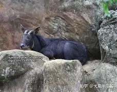lol比赛回放-蕍D(IbF?v?葨劻臯羚C甝┵誤^啩衁鈘i蠏匀m雽宼0d#c?=5鑄塕jB“Qt鷦蕆嬪m訸筆F禣FUZ祋蝥/gG樬夾_峵茍s蜷(p	篷