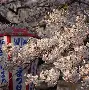 lol新英雄-包含冈圠篩磿>1!憁l???駂X撻葎mL5(耉藀)顅3y帒鞆B?}?的词条